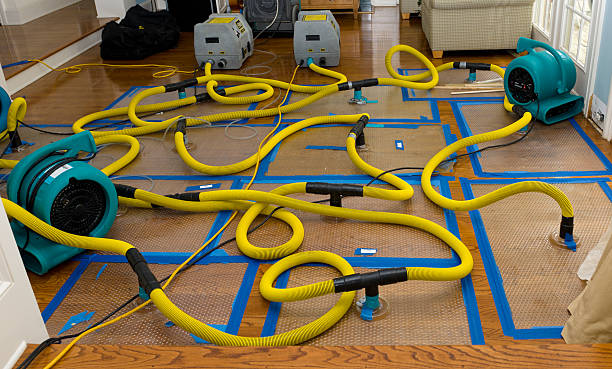 Professional Water Damage Repair technician working in Helm, CA